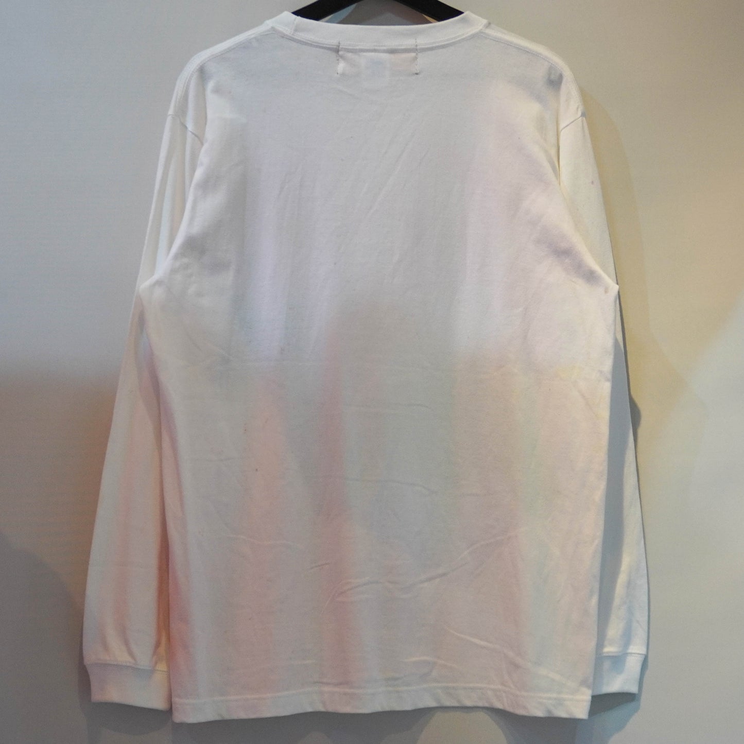 SKOLOCT PALM SKO PAINTED L/S T-SHIRT (M)